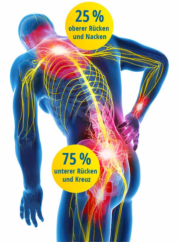 Schmerzen oberer und unterer Rücken Nervensystem